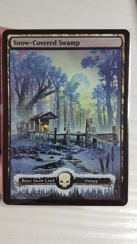 Snow Swamp